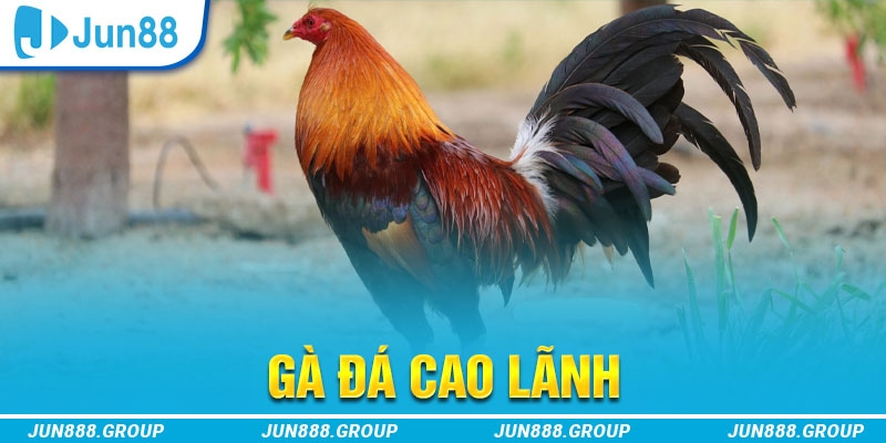 w88ud2 chơi casino online là gì