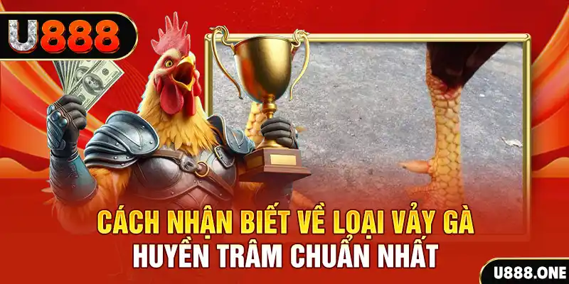 w88ud2 đầu tư baccarat là gì