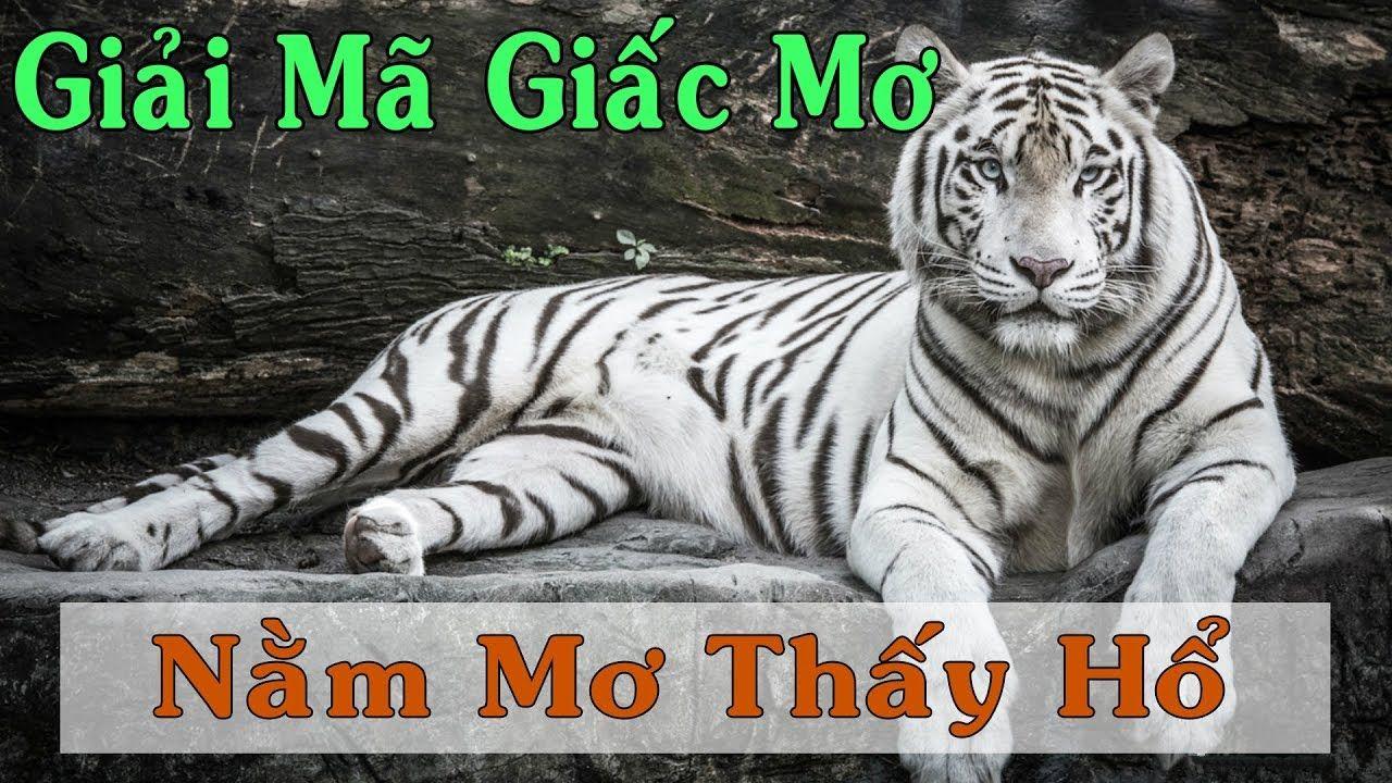 nỗ hũ là gì