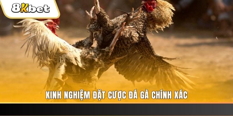 w88ud2 xổ số đà nẵng