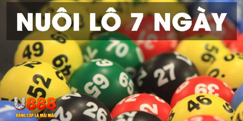 w88ud2 what is live dealer casino