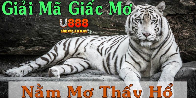 w88ud2 Baccarat