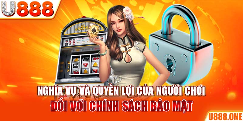 Cỡ bảy