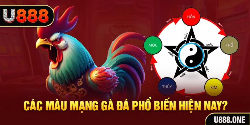 w88ud2 casino online máy tính