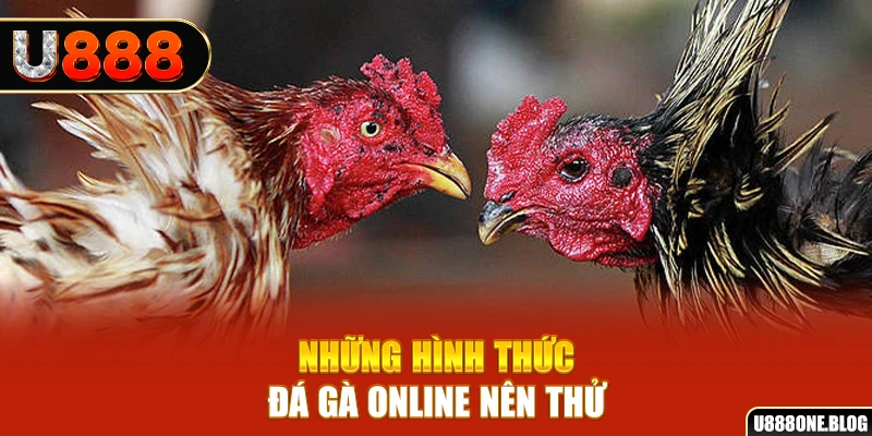 w88ud2 FC Điện Tử