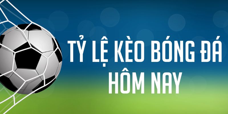 đá gà cam 67