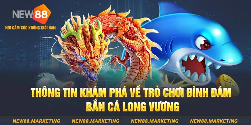 Bài Poker Jackpot Kép Kép