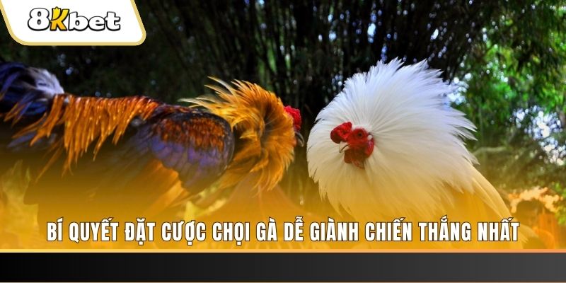 w88ud2 TP Xổ Số
