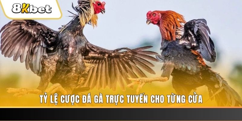 w88ud2 ILOVEU Bắn cá